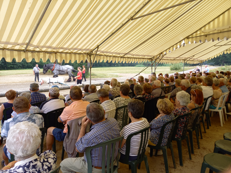 PLACE AU SPECTACLE EQUESTRE