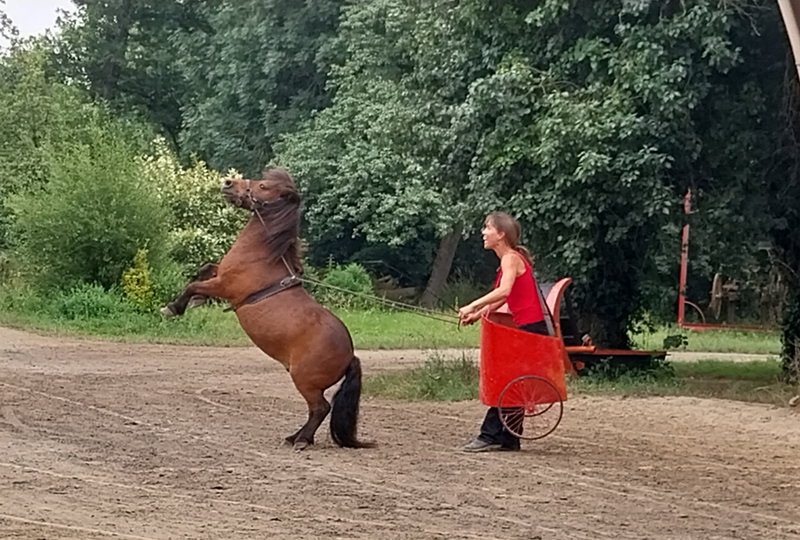 SUR SES DEUX PATTES ARRIERE