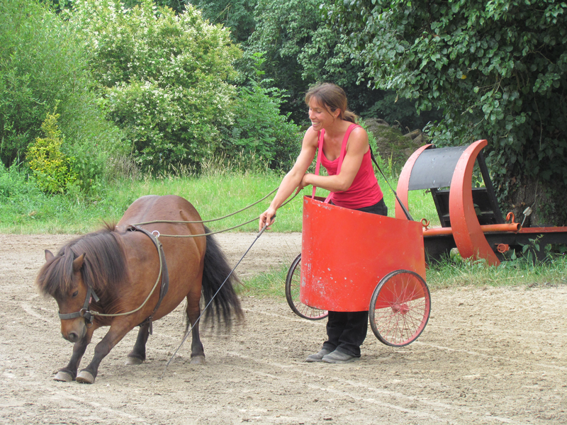 CHANGEMENT DE CALIBRE AVEC LE PONEY