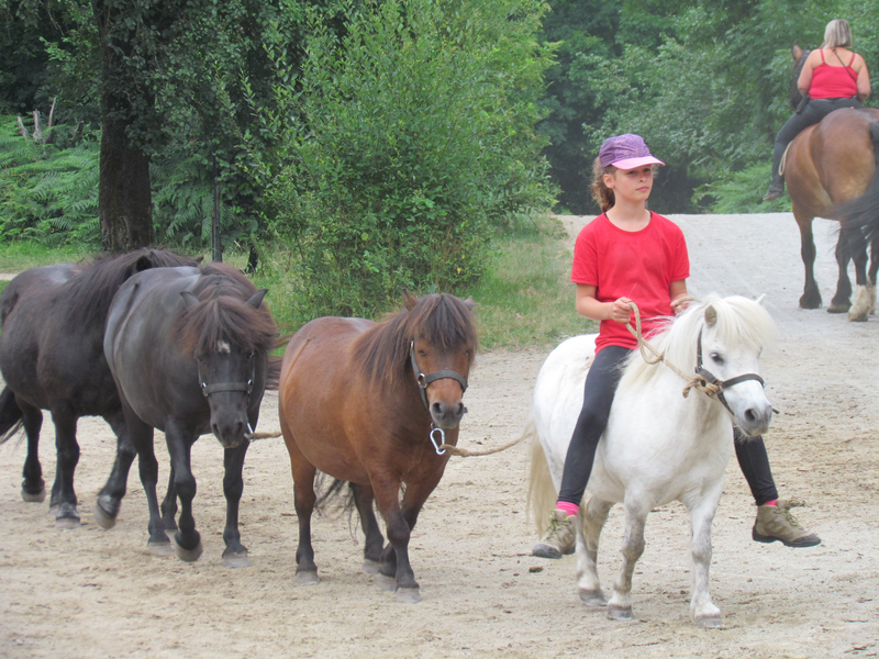 LA RELEVE, TANT DES CHEVAUX QUE DES CAVALIERS