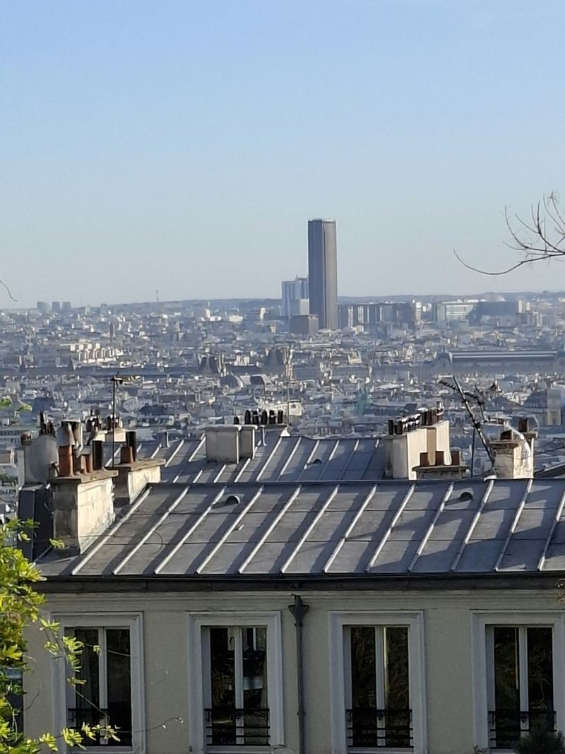 VUE DEPUS MONTMARTRE DES TOITS DE PARIS 