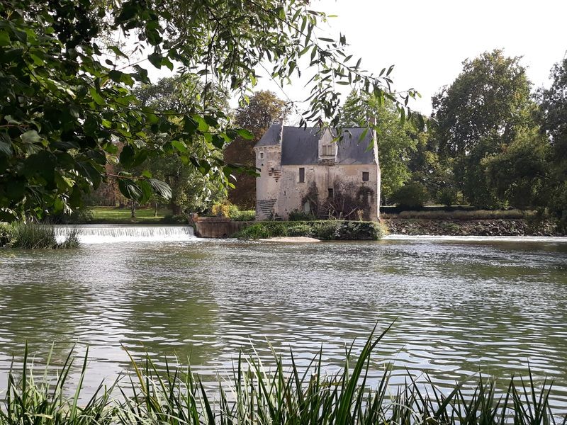 LUCHE PRINGE (72)