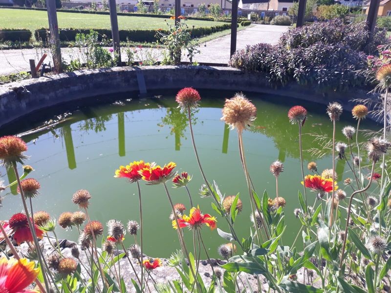Petit plan d eau des jardins
