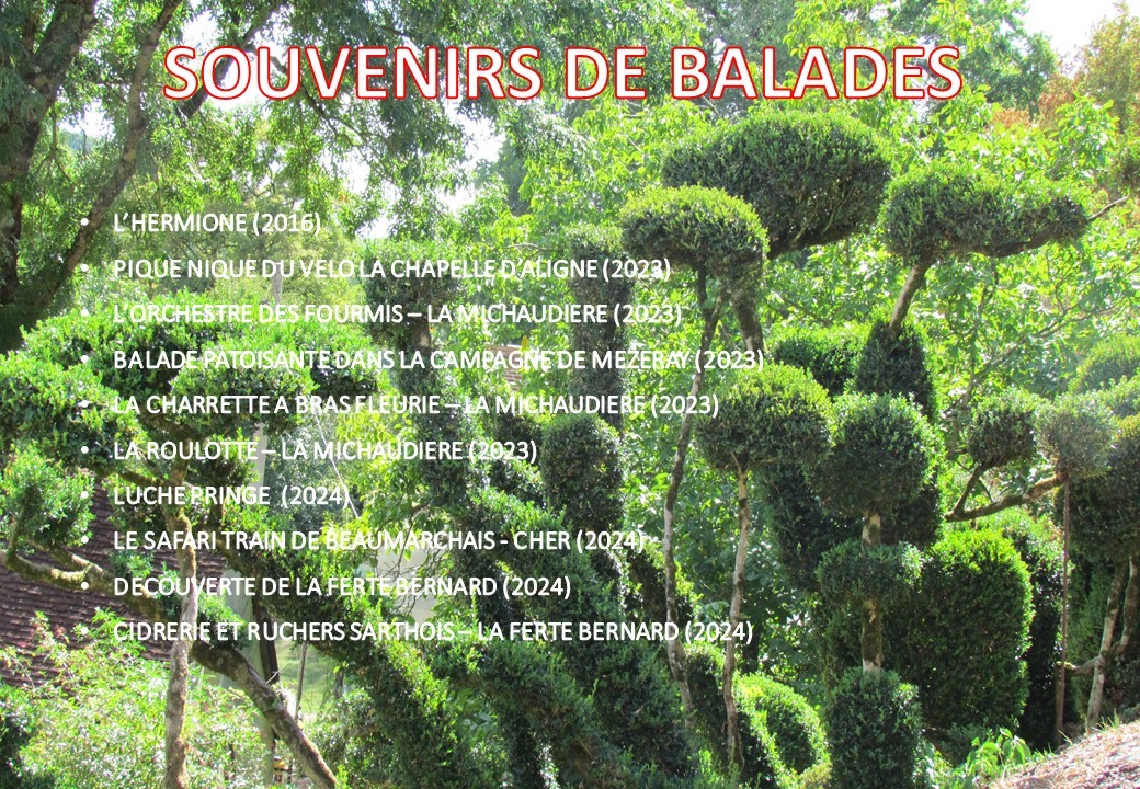 Souvenirs de balades expo 7