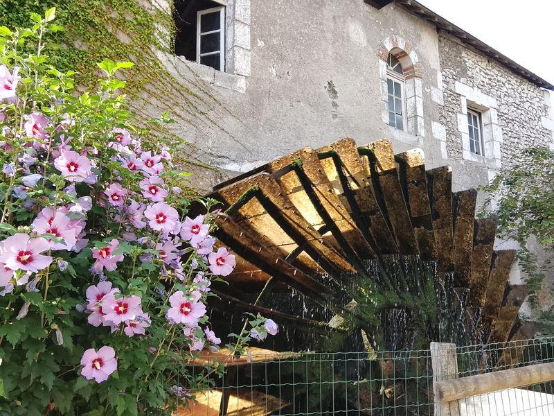 La roue du moulin de rotrou